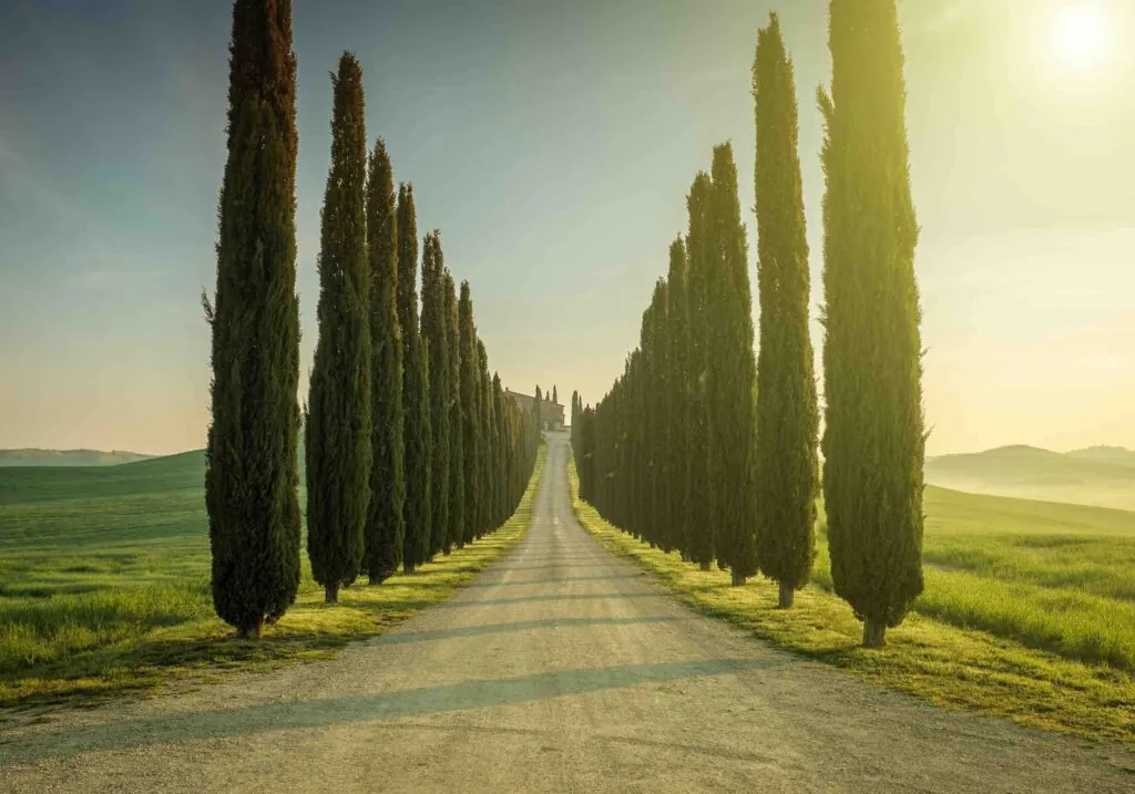 231 confindustria